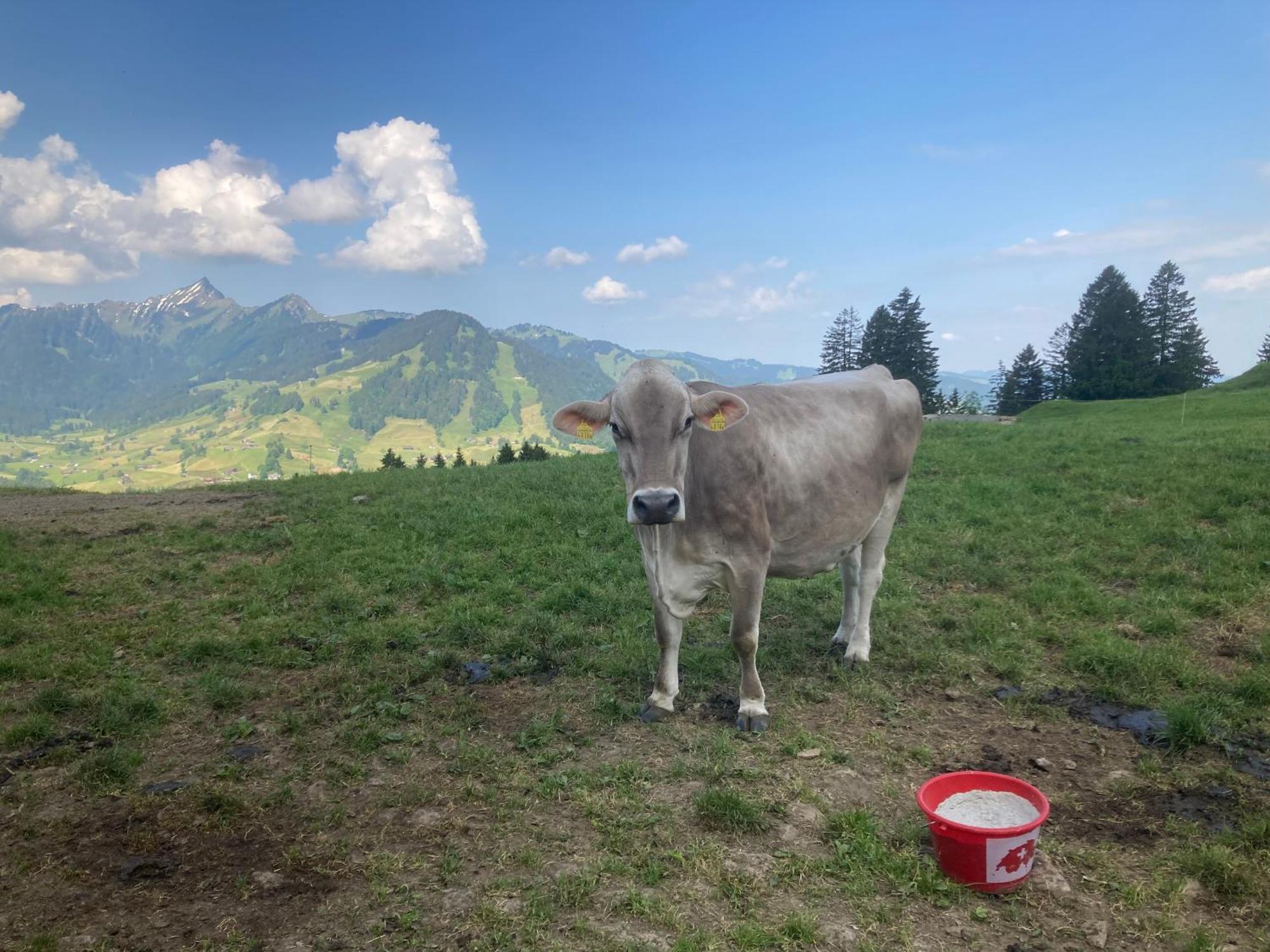 Wies Stein  外观 照片